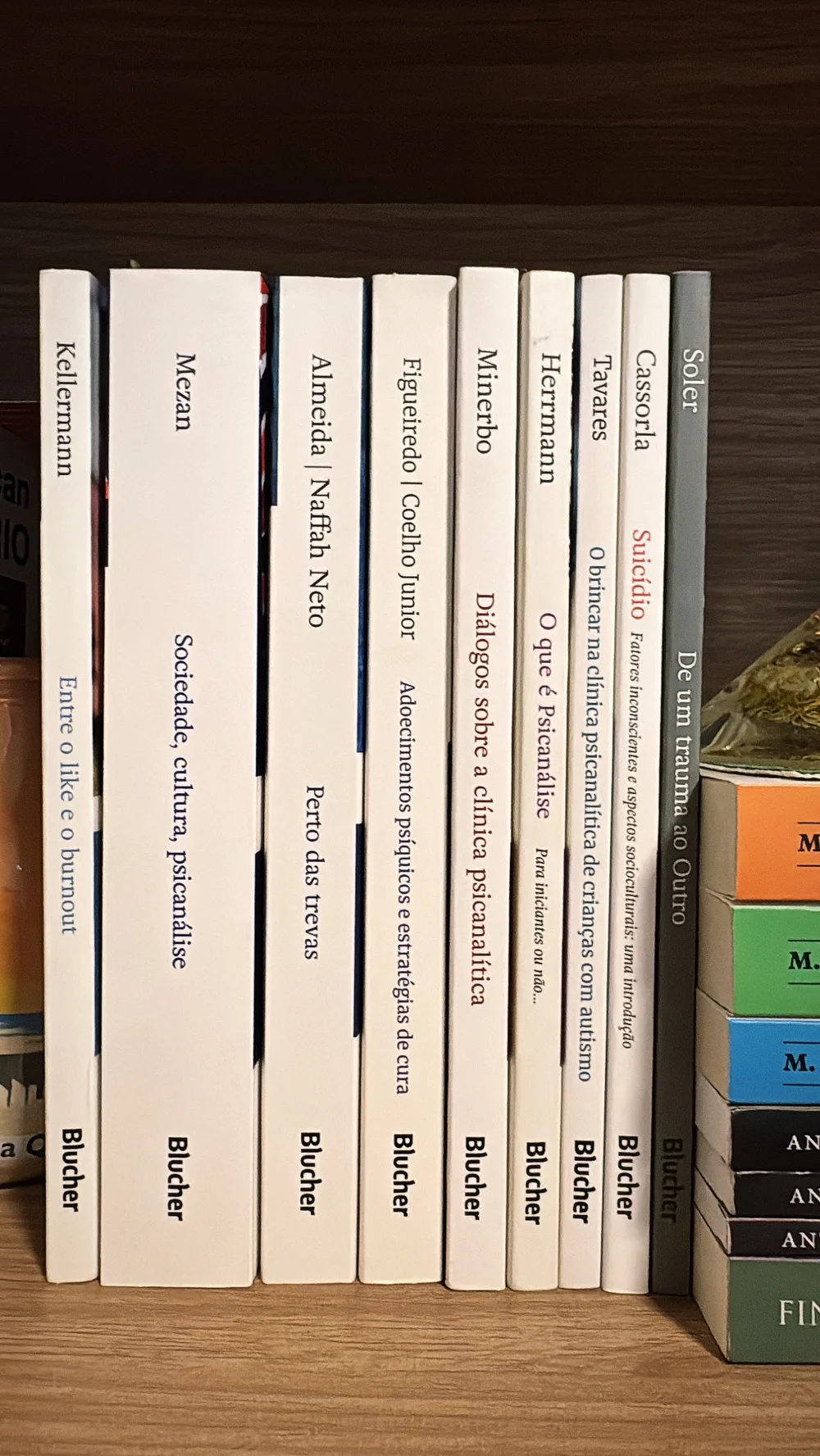 Estante com livros de psicanálise da editora Blucher